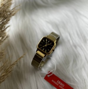  IBSO Watch