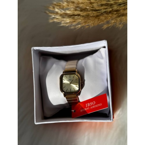  IBSO Watch